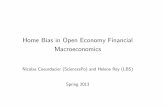 Home Bias in Open Economy Financial Macroeconomics