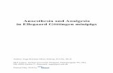 Anaesthesia and Analgesia in Ellegaard G¶ttingen -