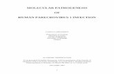 Molecular pathogenesis of human parechovirus - Helda -