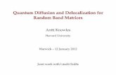 Quantum Diffusion and Delocalization for Random Band Matrices
