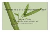 The Potential of Bio Fertilizers â€“ Neem The Potential of Bio - MBITA