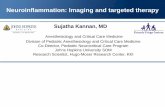 Neuroinflammation: Imaging and targeted therapy - Johns Hopkins