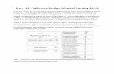 Hwy 43 - Winona Bridge Mussel Survey 2013
