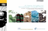 A New Angle on Sovereign Credit Risk - UNEP Finance Initiative