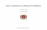 Joint, Conditional, & Marginal Probabilities - Mark E. Irwin