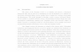 Chapter2_Literature   - [email protected]