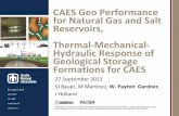 CAES Geo Performance for Natural Gas and Salt Reservoirs, with