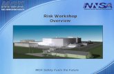 Risk Workshop Overview
