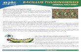 Bacillus thuringiensis - Oregon State University