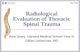 Radiological Evaluation of Thoracic Spinal Trauma
