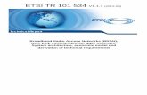 TR 101 534 - V1.1.1 - Broadband Radio Access Networks - ETSI