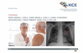 Non-Small Cell and Small Cell Lung Cancer: Diagnosis, Treatment