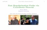 Fast Regularization Paths via Coordinate Descent