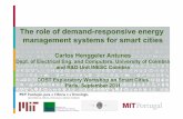 The role of demand-responsive energy management systems for