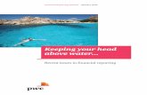 Financial Reporting Release, January 2014 - PwC