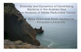 Bess Ward and Amal Jayakumar Princeton University Diversity and