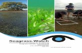 August 2013 - Seagrass-Watch