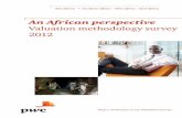 An African perspective Valuation methodology - PwC South Africa