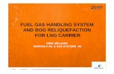 Fuel Gas Handling System and BOG Reliquefaction for LNG