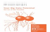 Your Big Data Potential - VINT - Sogeti