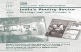 Indiaâ€™s Poultry Sector: Development and Prospects