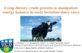 Using dietary crude protein to manipulate energy balance