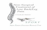 Non-Surgical Treatment of Low Back/Leg Pain - Dartmouth College