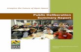 Public Deliberation Summary Report