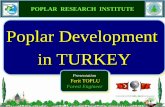 Poplar Development in TURKEY