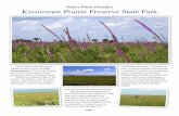 Native Plant Paradise Kissimmee Prairie Preserve State Park