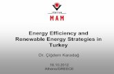 Energy Efficiency and Renewable Energy Strategies in Turkey