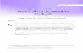 Chapter 13: Stem Cells in Regenerative Medicine - Oulu