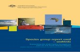 Species group report card - seabirds - Supporting the draft marine