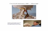 Cervical Anatomy 360 + Massage