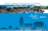 Why urban health matters - World Health Organization
