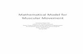 Mathematical Model for Muscular Movement - West Texas A&M