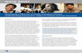 Issue BrIef February 19, 2013 - American Institutes for