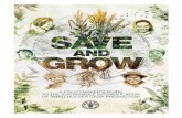 Save and Grow - a policymaker's guide to the sustainable - FAO