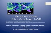 Atlas of Food Microbiology LAB - The Official site for the