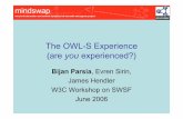 The OWL-S Experience (are you experienced?)