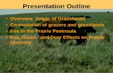 Presentation Outline - Tallgrass Prairie & Oak Savanna Fire Science