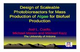 Design of Scaleable Photobioreactors for Mass Production