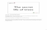 The secret life of trees presentation - The Woodland Trust