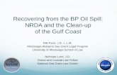 Recovering from the BP Oil Spill: NRDA and the Clean-up of