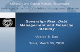 Sovereign Risk, Debt Management and Financial Stability
