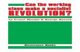 Can the Working Class Make a Socialist Revolution? - Reading from