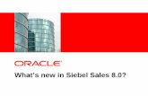 What's new in Siebel Sales 8.0?