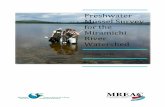 Freshwater Mussel Survey for the Miramichi River Watershed
