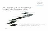 A vision for managing natural disaster risk - SSTI