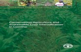 Conservation Agriculture and Sustainable Crop Intensification in
